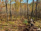 63355 Trout Lake Rd - Photo 19
