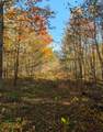 63355 Trout Lake Rd - Photo 23