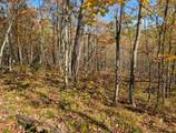 63355 Trout Lake Rd - Photo 24