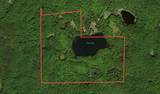 63355 Trout Lake Rd - Photo 4