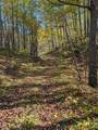 63355 Trout Lake Rd - Photo 9