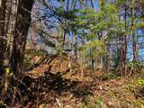 Lot 35 Alpine Dr - Photo 6