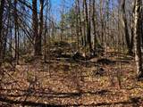 Lot 35 Alpine Dr - Photo 9