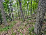 Lot C Mill Lake Rd - Photo 8