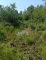 N5858 River Rd - Photo 30