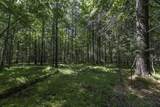 Lot 4 Pine Cone Dr - Photo 14