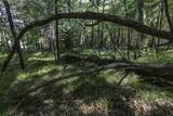 Lot 5 Pine Cone Dr - Photo 18