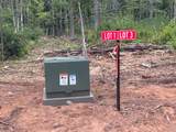 Lot 1 Indian Waters Ln - Photo 6