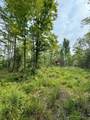 40 Acres Cth H - Photo 12