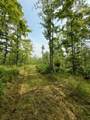 40 Acres Cth H - Photo 13