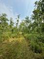 40 Acres Cth H - Photo 14