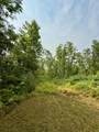 40 Acres Cth H - Photo 15