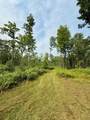 40 Acres Cth H - Photo 17