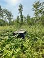 40 Acres Cth H - Photo 20