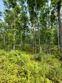 40 Acres Cth H - Photo 21