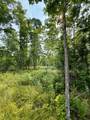 40 Acres Cth H - Photo 22