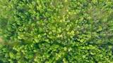 40 Acres Cth H - Photo 25