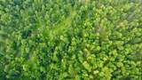 40 Acres Cth H - Photo 26