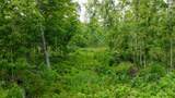 40 Acres Cth H - Photo 27