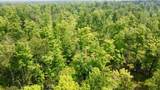 40 Acres Cth H - Photo 30