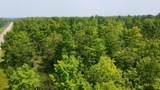 40 Acres Cth H - Photo 31