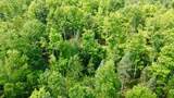 40 Acres Cth H - Photo 34