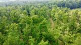 40 Acres Cth H - Photo 38