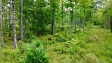 40 Acres Cth H - Photo 39