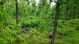 40 Acres Cth H - Photo 40