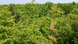 40 Acres Cth H - Photo 41