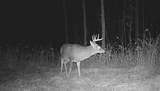 40 Acres Cth H - Photo 7