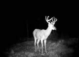 40 Acres Cth H - Photo 8