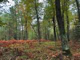 ON Musky Dam Ln - Photo 10