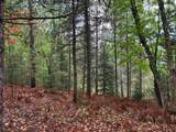 ON Musky Dam Ln - Photo 11