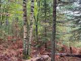 ON Musky Dam Ln - Photo 12