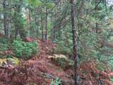 ON Musky Dam Ln - Photo 13