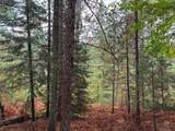 ON Musky Dam Ln - Photo 14