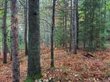 ON Musky Dam Ln - Photo 18