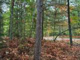 ON Musky Dam Ln - Photo 2