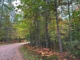 ON Musky Dam Ln - Photo 7