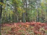 ON Musky Dam Ln - Photo 8