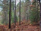 ON Musky Dam Ln - Photo 9