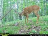 9291 Rock Lake Rd - Photo 21