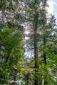 9291 Rock Lake Rd - Photo 23