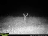 9291 Rock Lake Rd - Photo 3