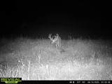 9291 Rock Lake Rd - Photo 33
