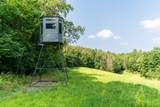 9291 Rock Lake Rd - Photo 7