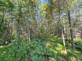N7033 Carpenter Creek Rd - Photo 13