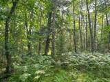 N7033 Carpenter Creek Rd - Photo 25