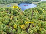 10026 Pine Tree Dr - Photo 27